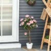 Outsunny Rose Tree Artificial Plant - 900mm - Pink & Green - 844-340